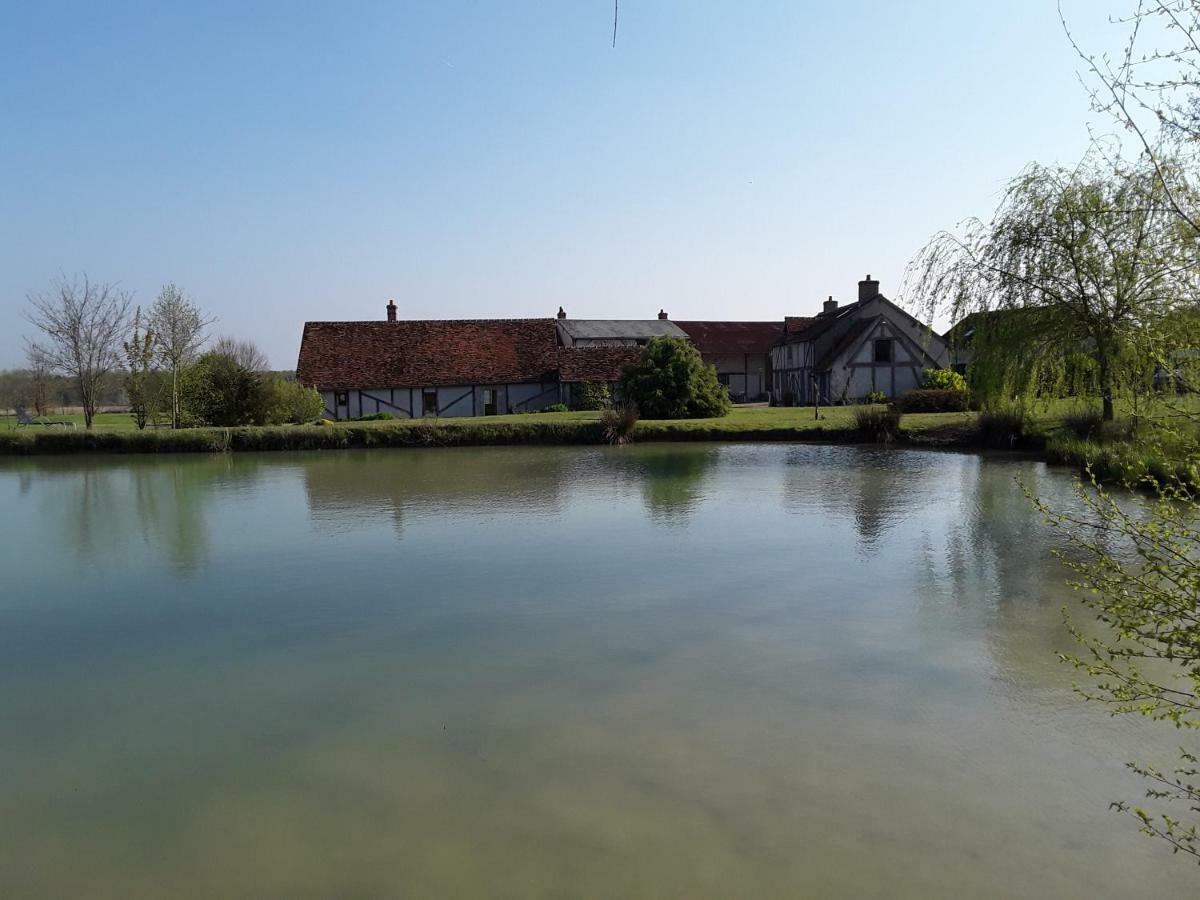 La Belviniere Chambres Et Table D'Hotes Tour-en-Sologne Exterior foto