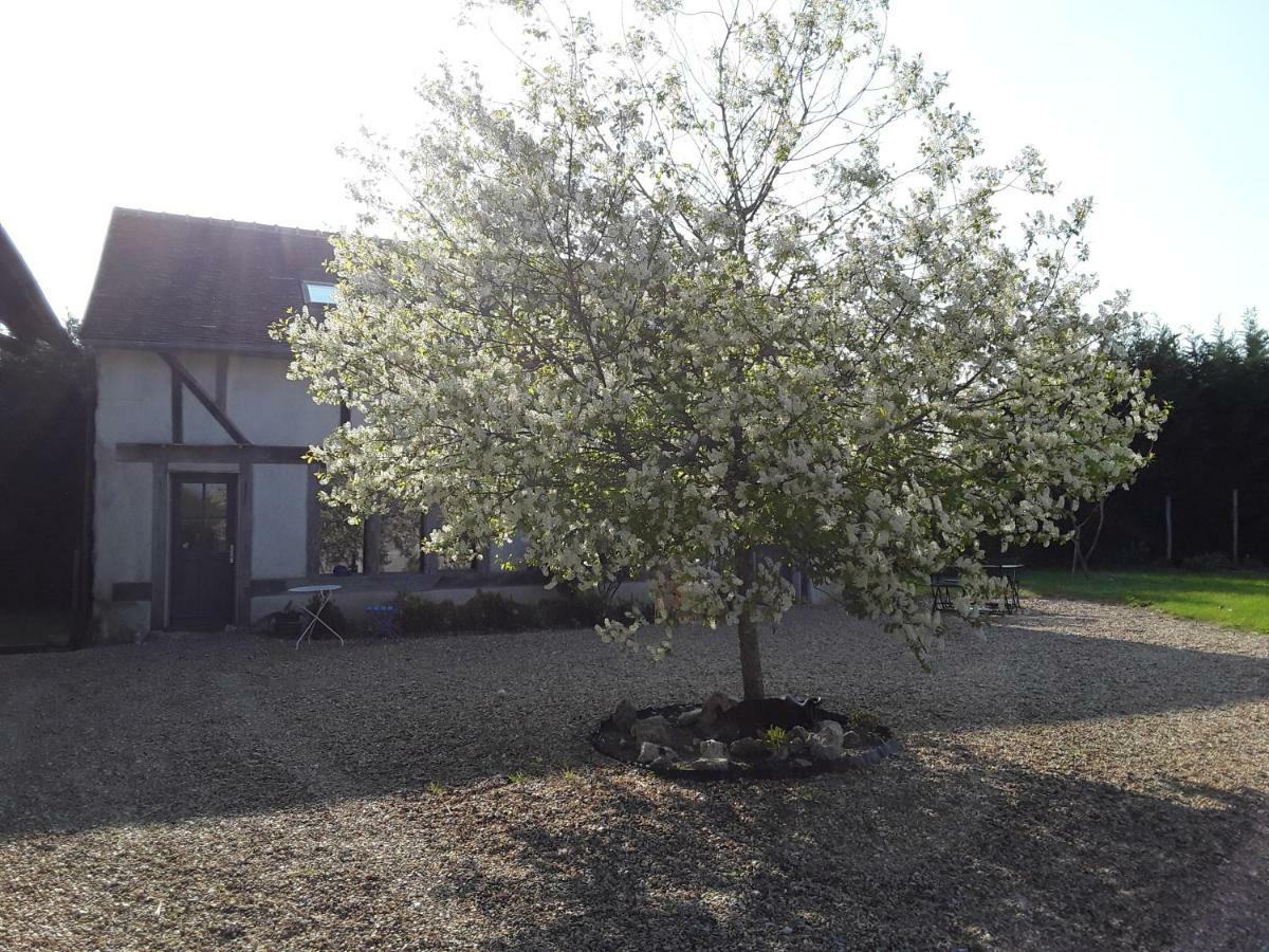 La Belviniere Chambres Et Table D'Hotes Tour-en-Sologne Exterior foto